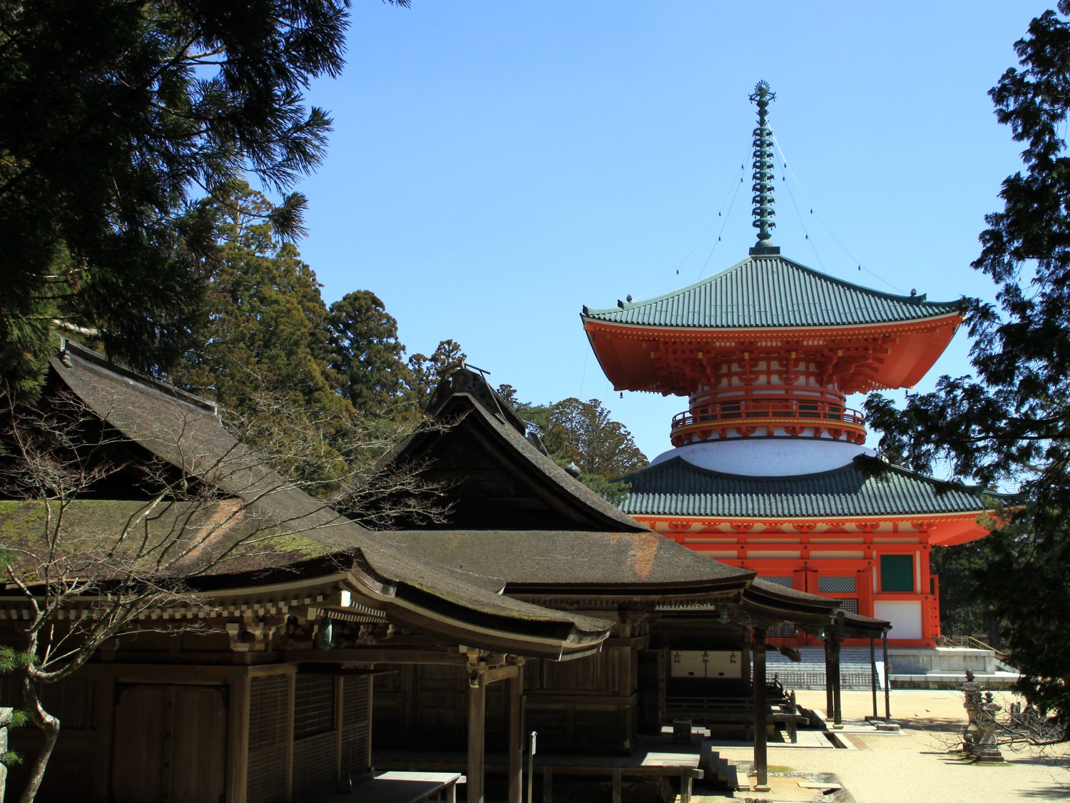 Mt. Koya