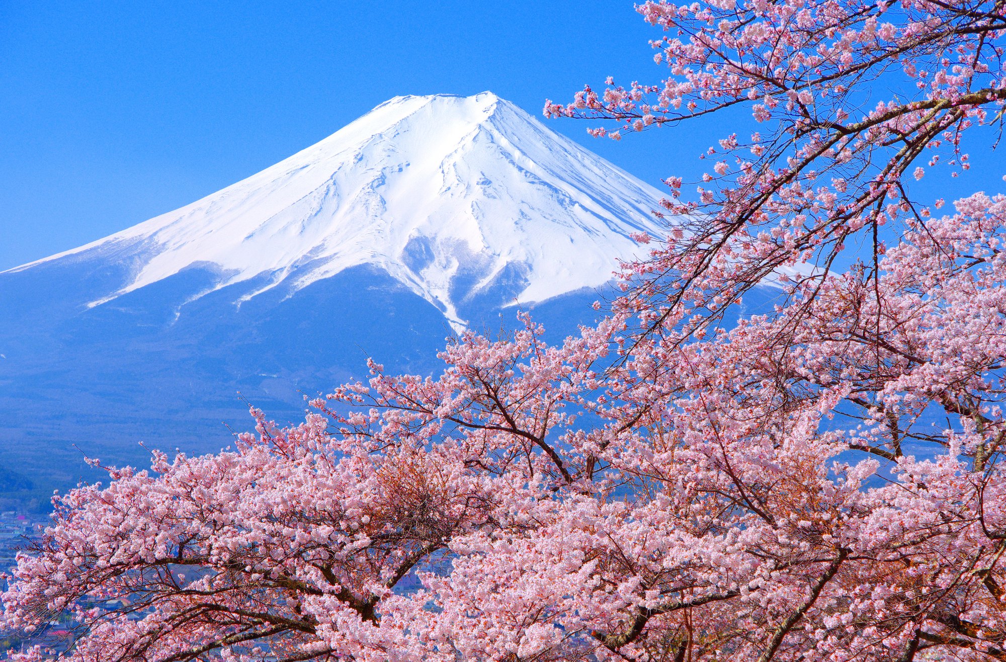 Stories from Japan