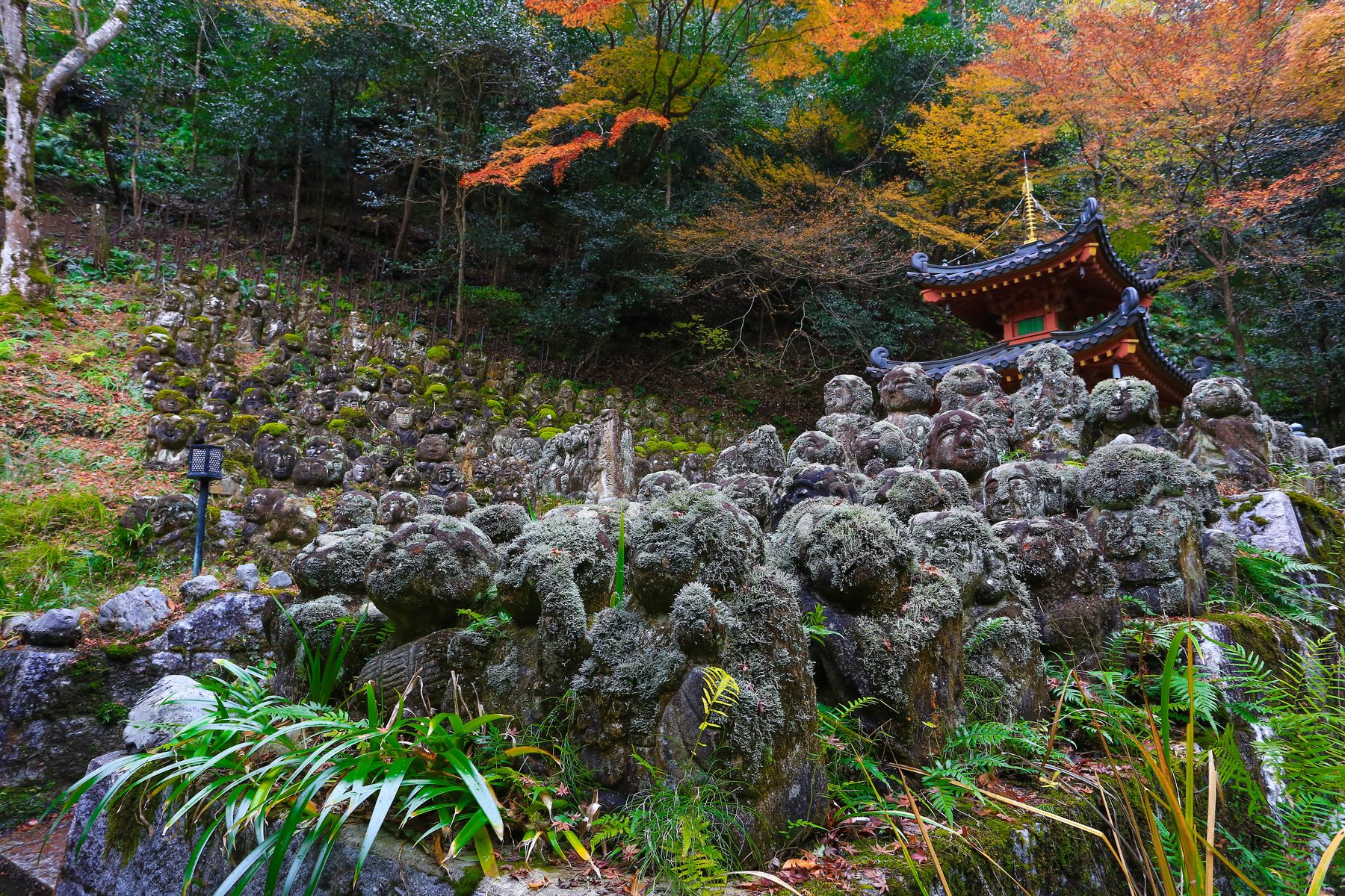 Hundreds of moss-covered stone rakan figures on a hillside at Otagi Nenbutsu-ji in autumn