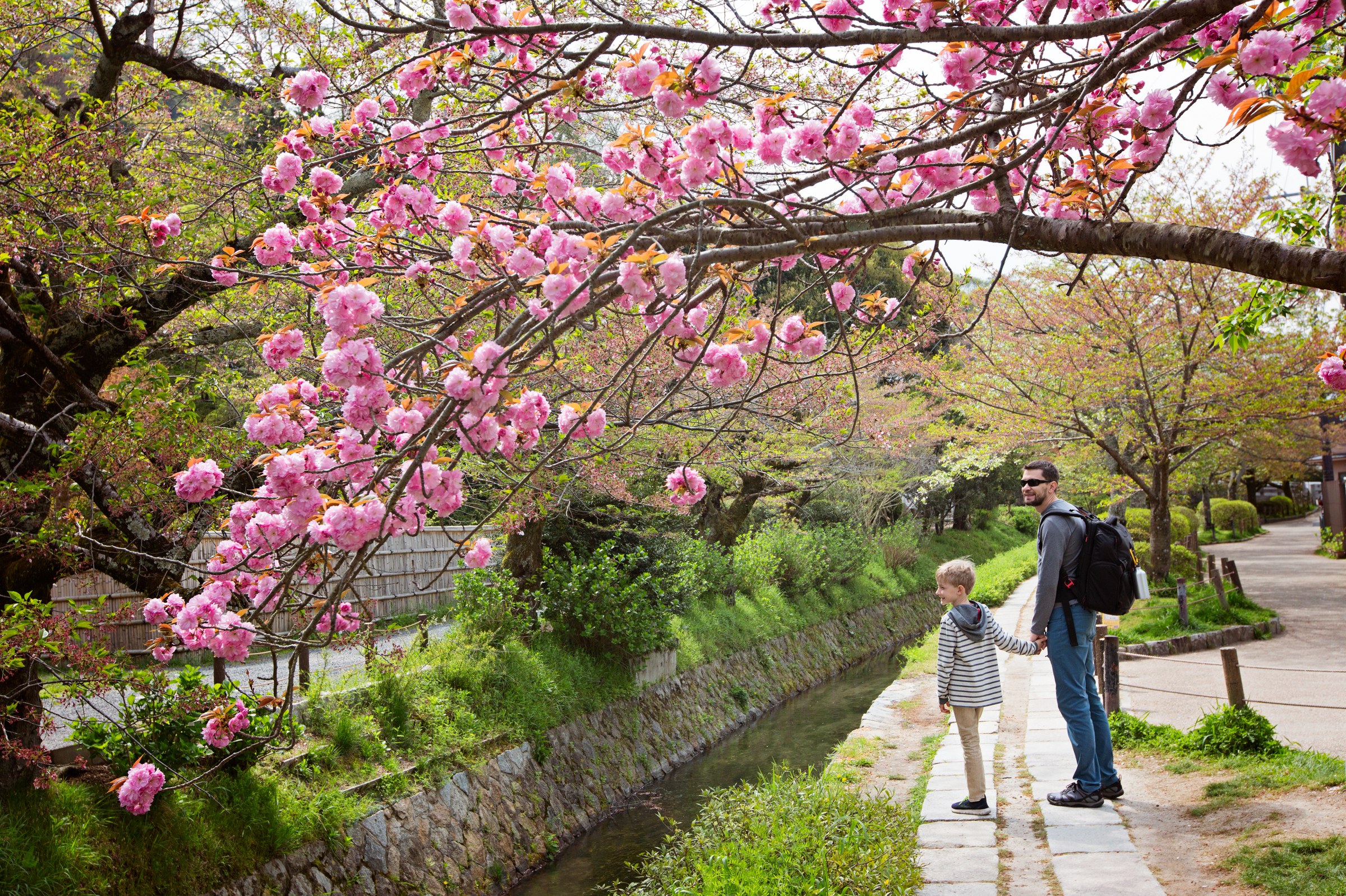 Japan with the Family: A 10-Day Itinerary