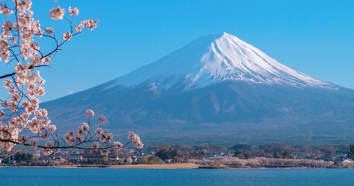 Cherry blossom framing Mt. Fuji across Lake Kawaguchiko