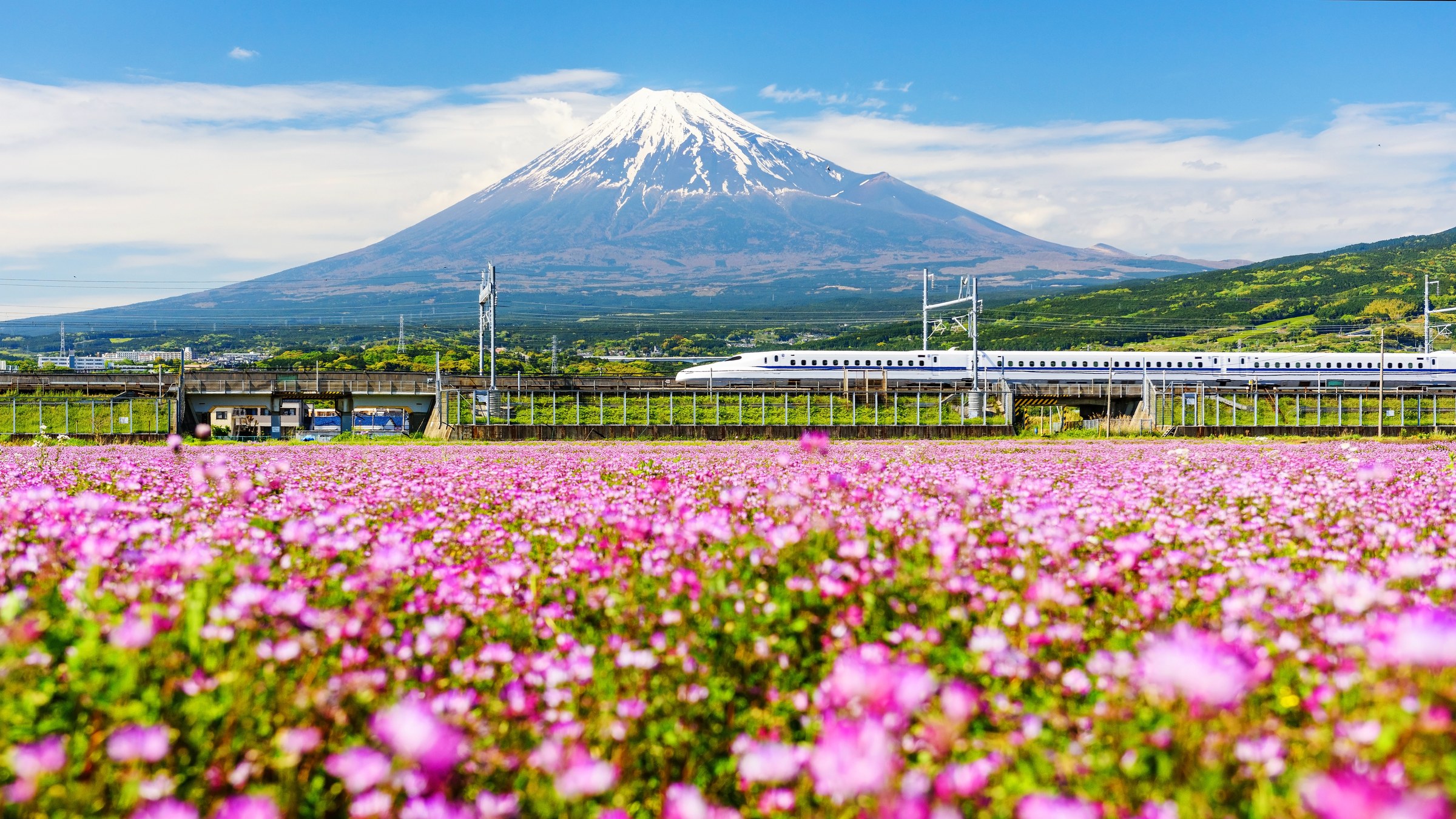 First-Time Japan: The Golden Route
