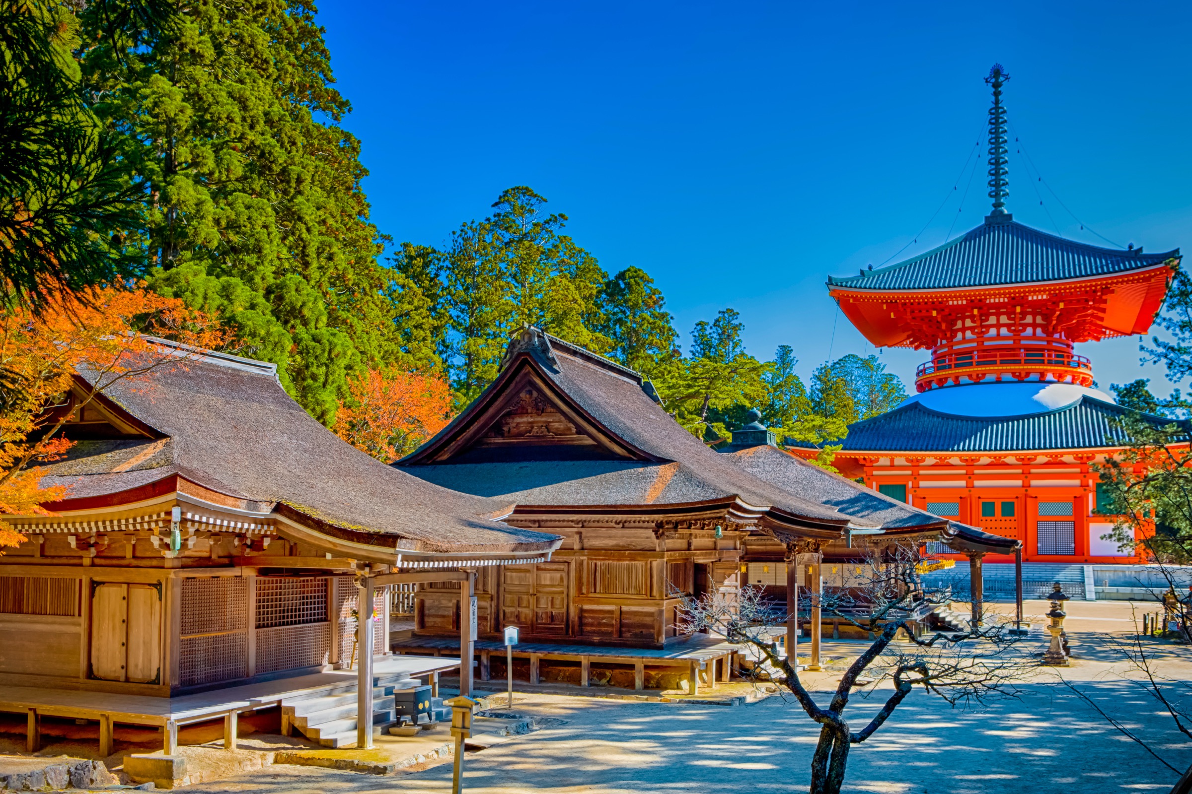 Koyasan & the Kumano Kodo