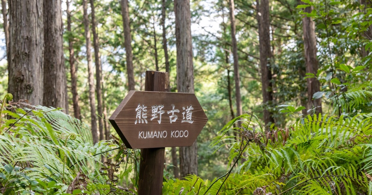 A Kumano Kodo trail signpost in the cedar forest