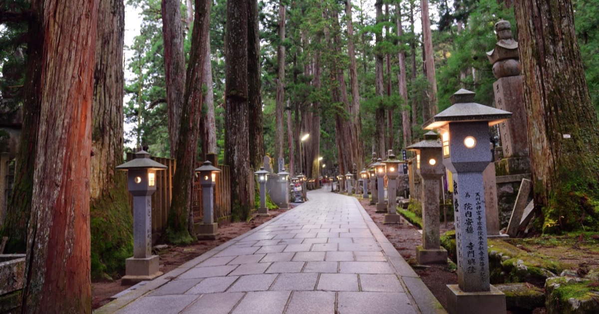 Stone lanterns lining the Okunoin approach among ancient cedars