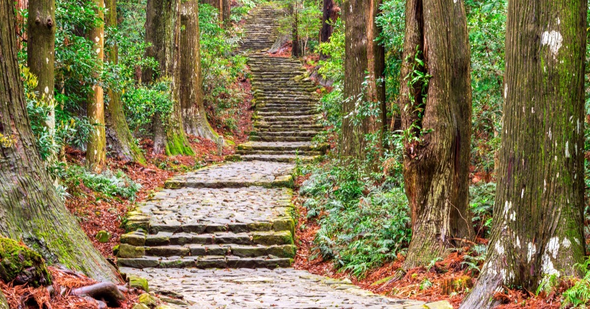 Stone steps of the Kumano Kodo climbing through cedar forest
