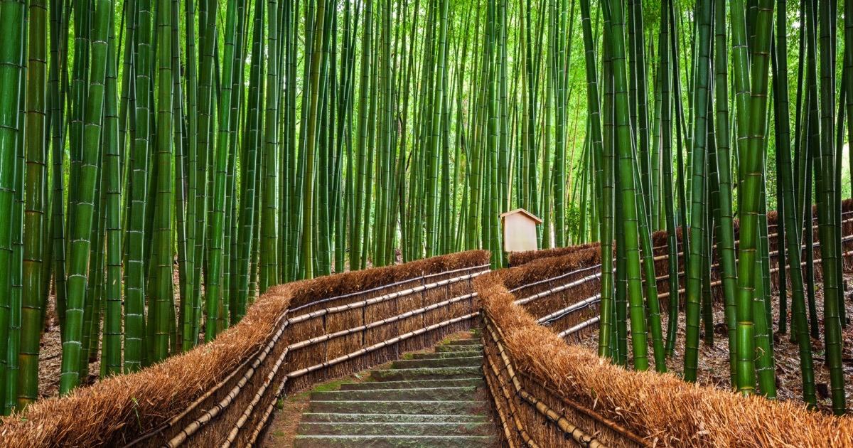 Arashiyama