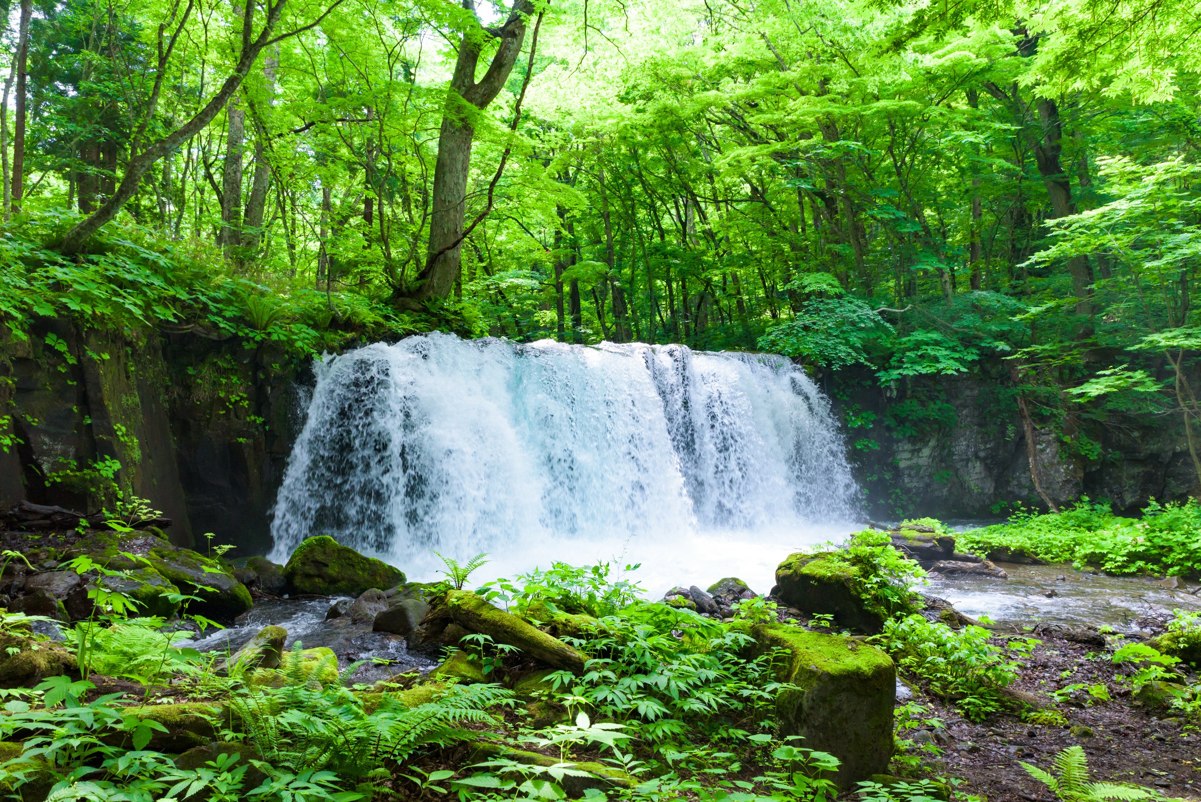 Off the Beaten Path Japan