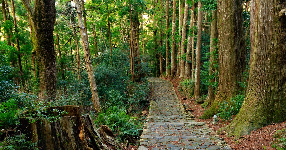The Kii Peninsula