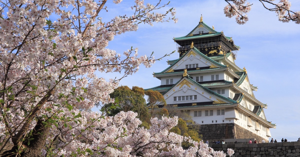 Cherry blossoms framing Osaka Castle in spring
