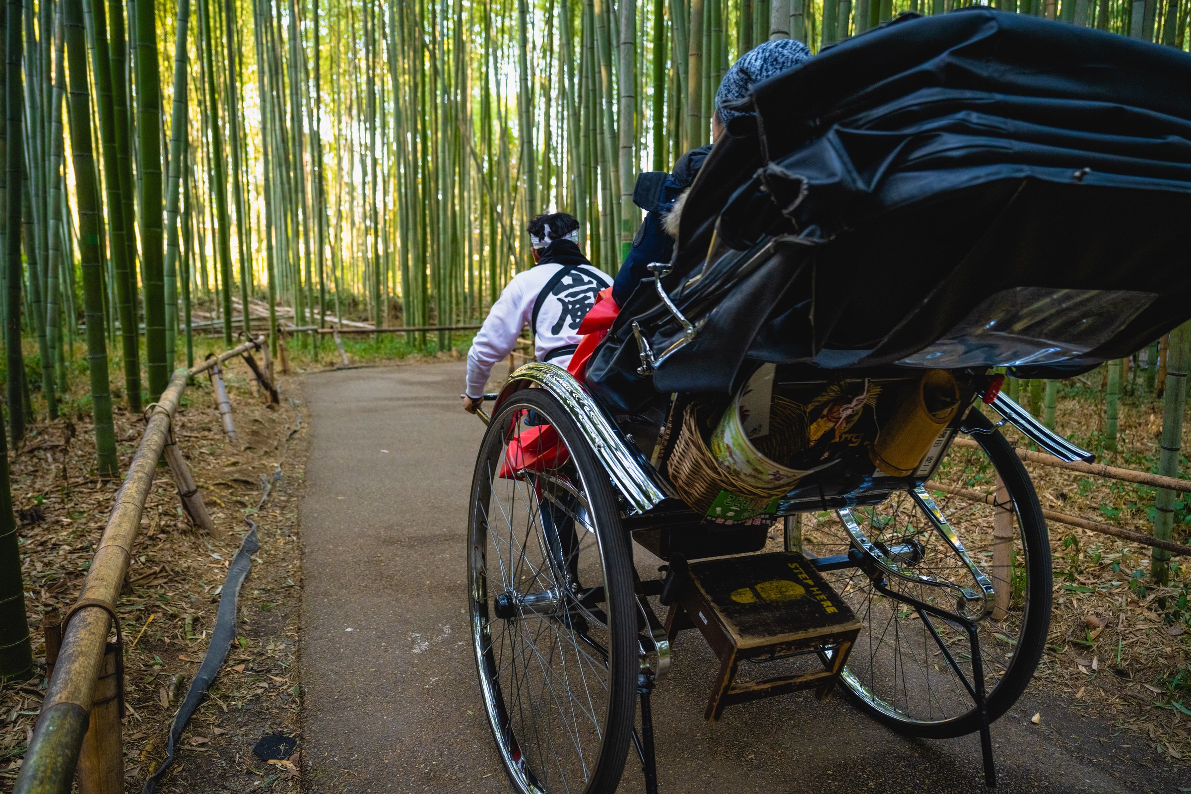 Private Guided Tours in Japan