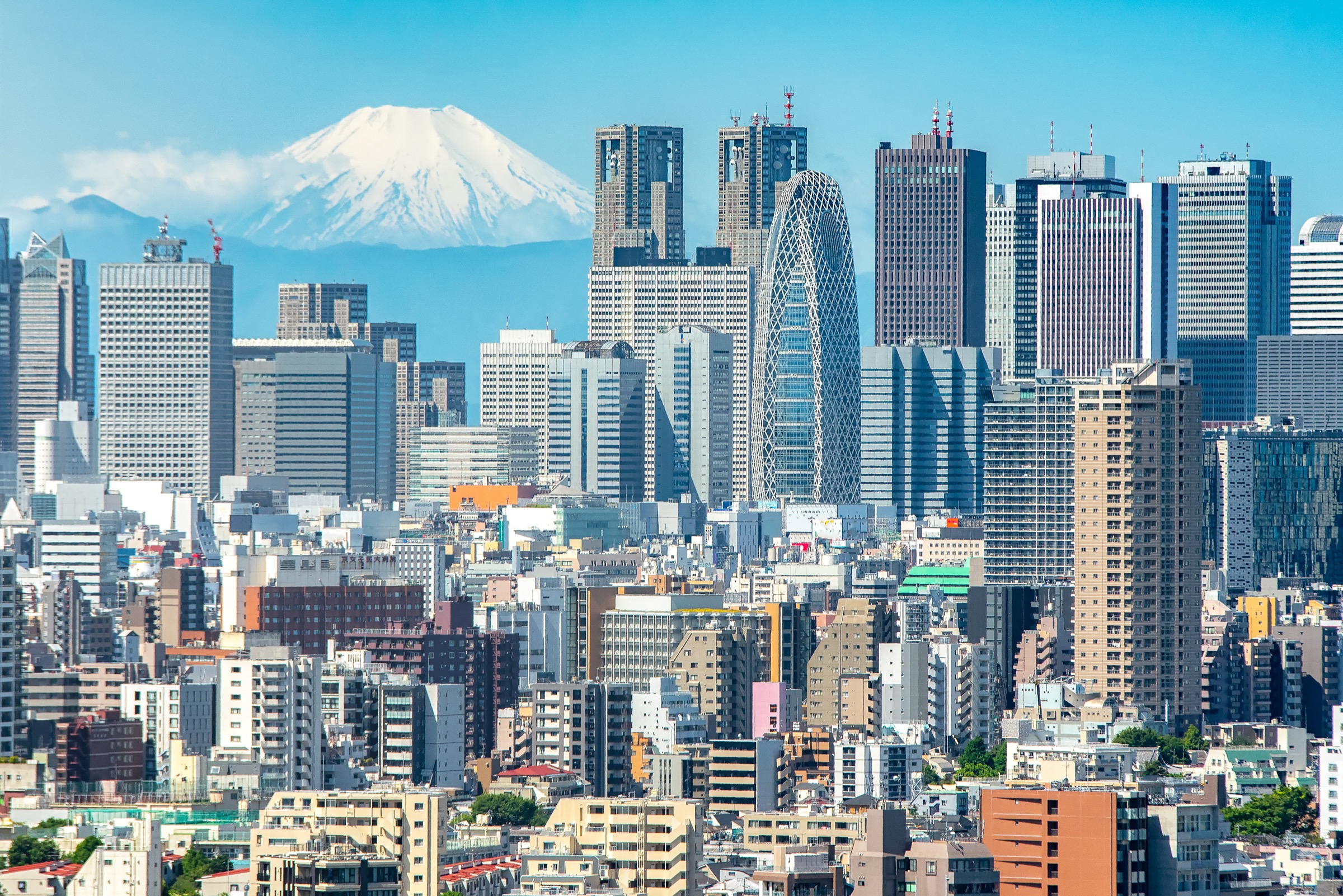 Tokyo: The Complete Guide