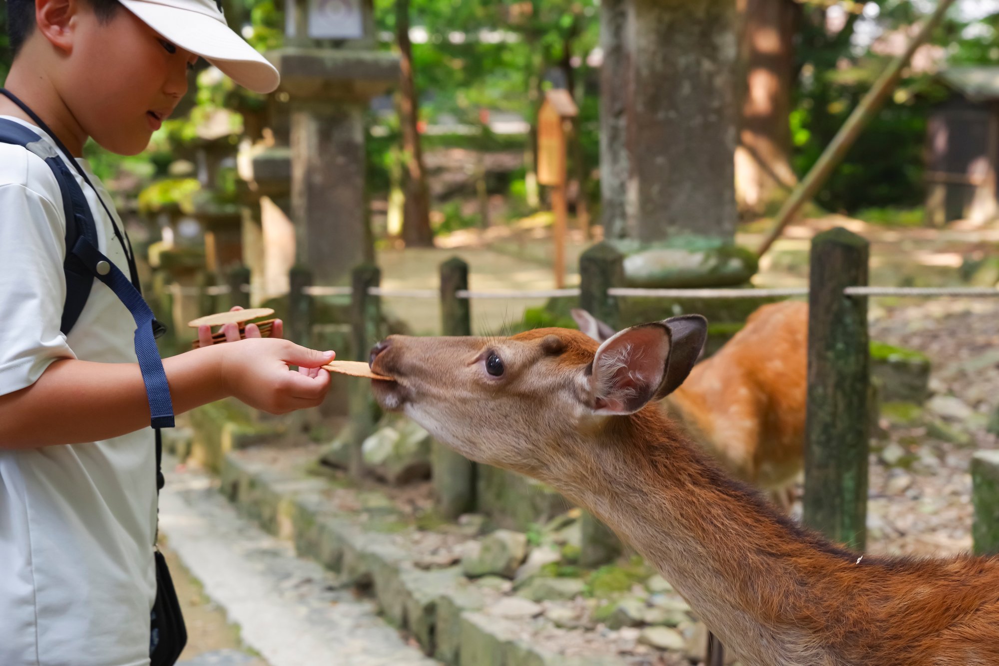 Nara