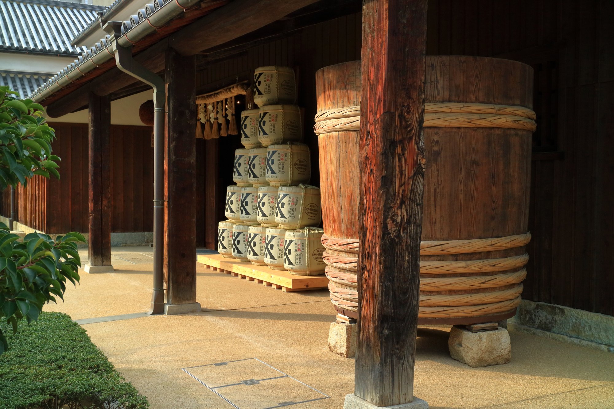 Sake Tasting
